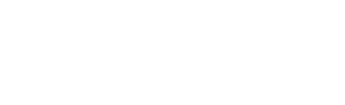CyberSecurity Council